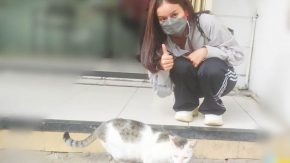 Sella Selly Sering Sedekah Sama Kucing Jalanan